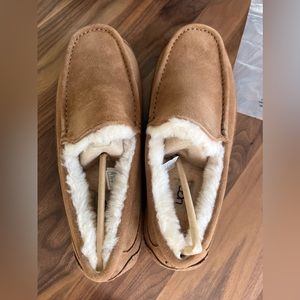 Ugg Men’s Ascot Slipper Brand New